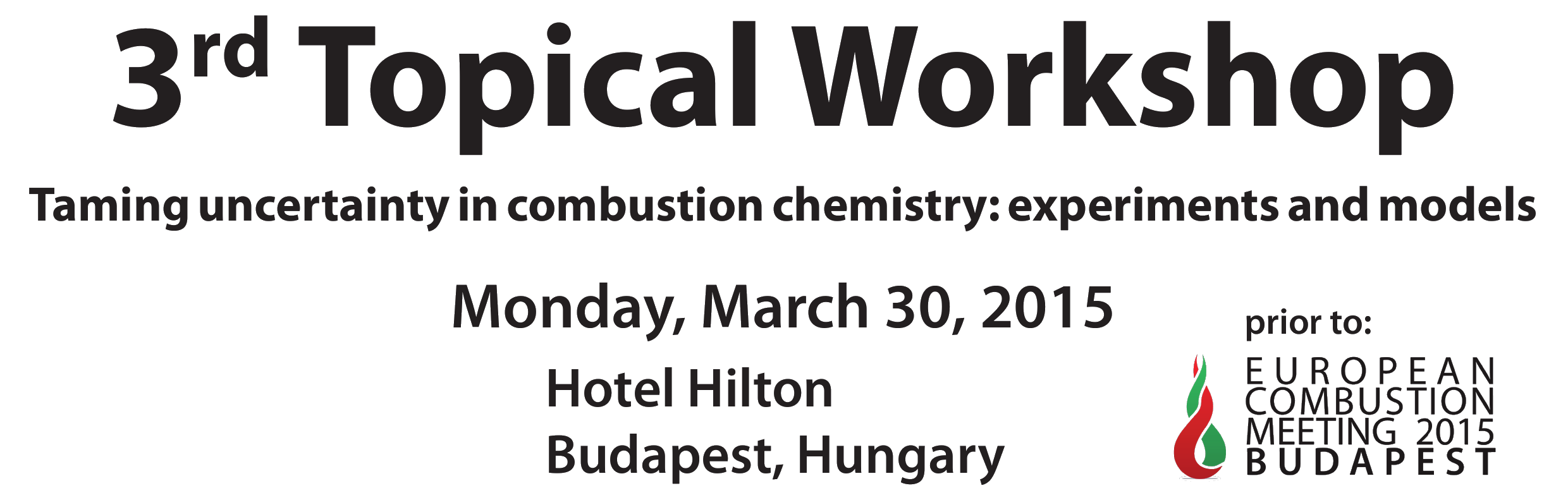 3rd Topical Workshop - Taming uncertainty in combustion chemistry: experiments and models